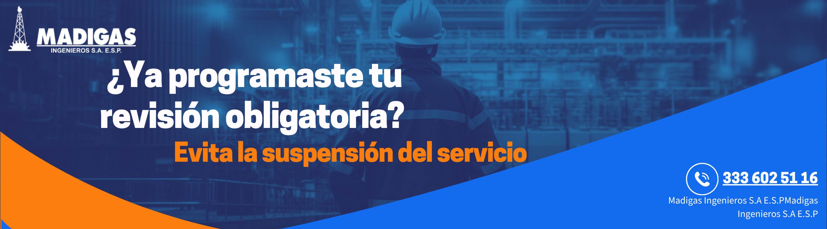 Revisión Periódica Obligatoria